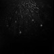 Warloghe - Logos of All-That-Ends, CD