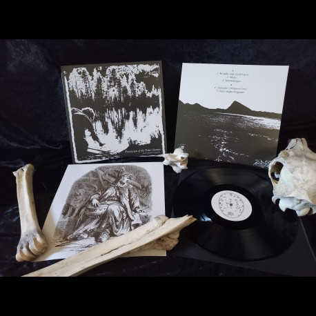 Possession Of The Polar Shaman - Fenrir Dau​þ​uz Bringandiz, LP