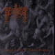 Muvitium - Through the Veil of Medieval Prophecies, CD