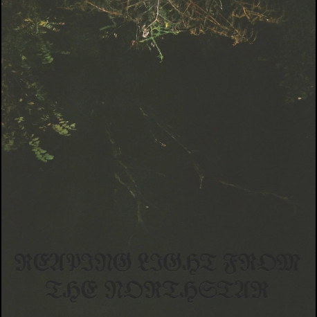 Nächtlich - Reaping Light From The Northstar, EP