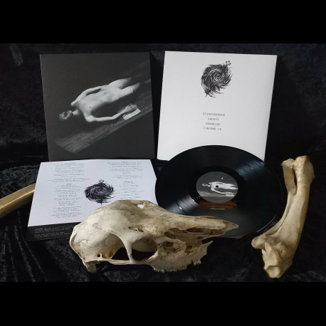 Illusive Key - Consume Us, LP