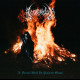 Kommodus - A Foetal Wolf in Stained Glass, CD