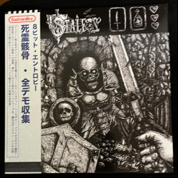 Stalfos - 8-Bit Entropy (Demo Collection), LP