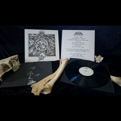 Aerdryk - Onzuiver, LP