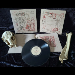 Oldowan Gash - A 1000 Dreams of War, LP (black)