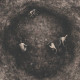 Pure Wrath - Bleak Days Ahead, LP