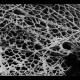 Hadopelagyal - Zalmathic Necroichorion, Digi MCD