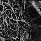 Hadopelagyal - Zalmathic Necroichorion, MLP