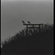 Koreltsak - s/t, LP