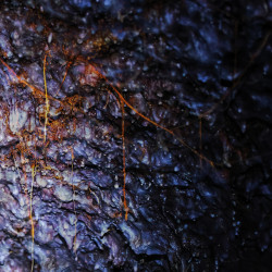 Vermianaevus - s/t, LP - Pre-Order
