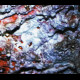 Vermianaevus - s/t, Digi CD