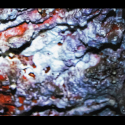 Vermianaevus - s/t, Digi CD - Pre-Order