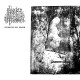 Bacht'n de Vulle Moane - Verdwazing der dwazen, LP