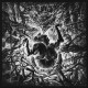 Evil Warriors - Expressions of Endless Dreams, LP