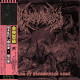 Kommodus - Dreams of Blossoming Rust, LP