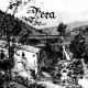 Fera - Aristocràcia Rural, MCD