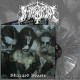 Immortal - Blizzard Beasts, LP