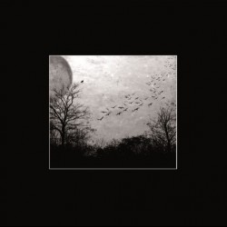Deathgate Arkanum - Seelen, LP Deathgate Arkanum - Seelen, LP