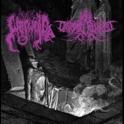 The True Werwolf / Druadan Forest - Split, LP The True Werwolf / Druadan Forest - Split, LP