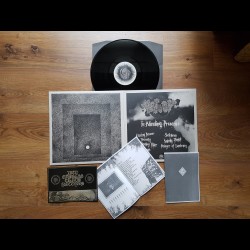 Veiled – In Blinding Presence, LP