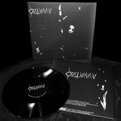 Dzlvarv - s/t, LP Dzlvarv - s/t, LP