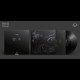 Nortt - Endeligt, LP