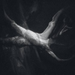 HWWAUOCH - Into the Labyrinth of Consciousness, LP (black) HWWAUOCH - Into the Labyrinth of Consciousness, LP (black)