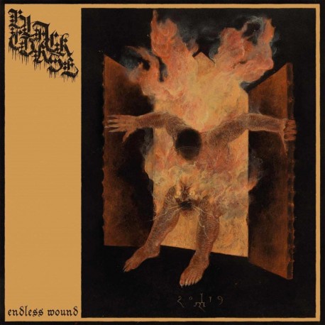 Black Curse - Endless Wound, LP