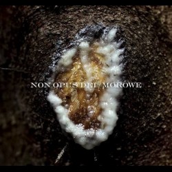 Non Opus Dei / Morowe - Dziwki dwie, Digi CD