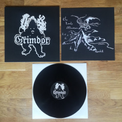 Grimdor – The Shadow of the Past, LP
