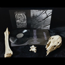 Frozen Graves - An Age of Emptiness, LP
