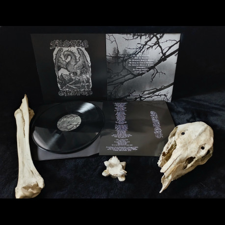 Frozen Graves - An Age of Emptiness, LP