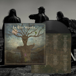In the Woods... - Diversum, LP
