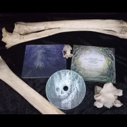 Tetrasigil - Forest Storm, Digi CD