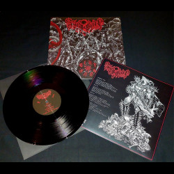 Ziegenhorn - Blut & Kaos, LP