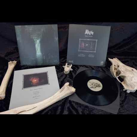 Estve - Egyenes labirintus, LP (black)