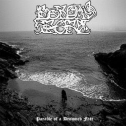 Borda's Rope - Parable of a Drowned Fate, LP