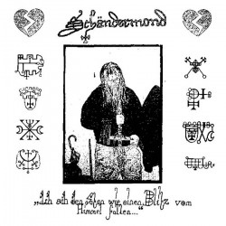 Schändermond - Ich sah den Satan vom Himmel fallen, LP