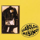 Diabolos Rising - Blood Vampirism & Sadism, Digibook CD