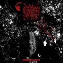 Moonshrine - Hallucinatory Forest Rituals, LP