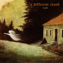 A Different Cloud - Sult, Digi CD