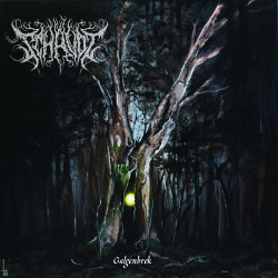 Schavot - Galgenbrok, LP