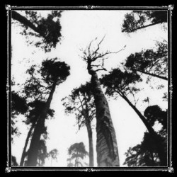 Ancestors Blood - When the forest calls, CD