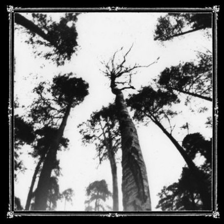 Ancestors Blood - When the forest calls, CD