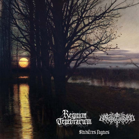 Regnum Tenebrarum / Hertogenwald - Split, CD