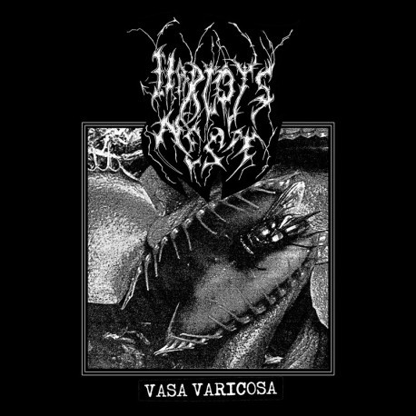 Harlot's Nest - Vasa Varicosa, LP