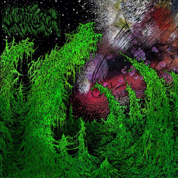 Wharflurch - Shittier / Slimier, LP